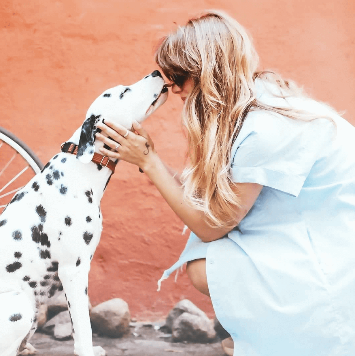 CBD for Dogs Benefits