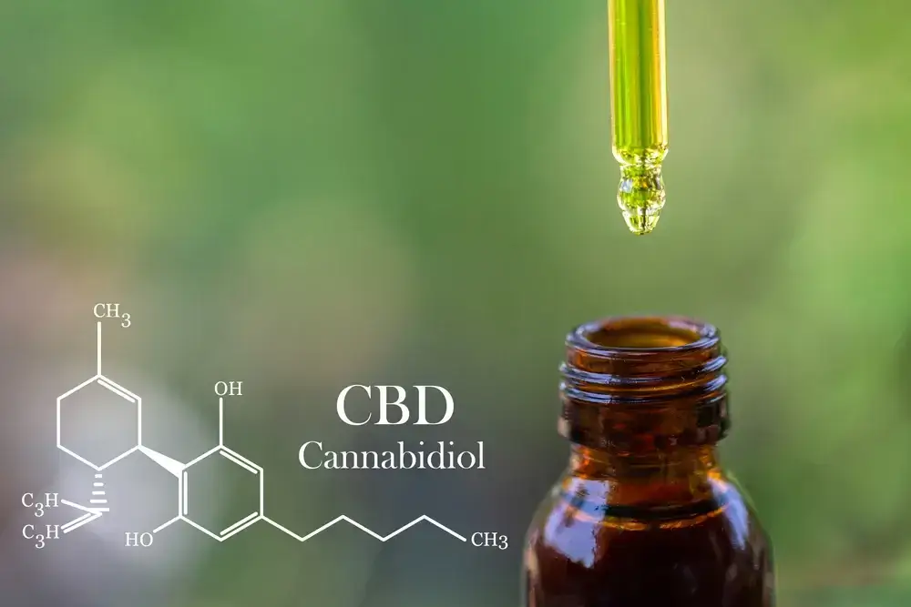 CBD Dosage 101: How Much Should You Take? | Flourish + Live Well